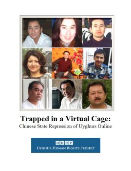 Trapped-in-a-Virtual-Cage