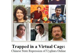 Trapped-in-a-Virtual-Cage